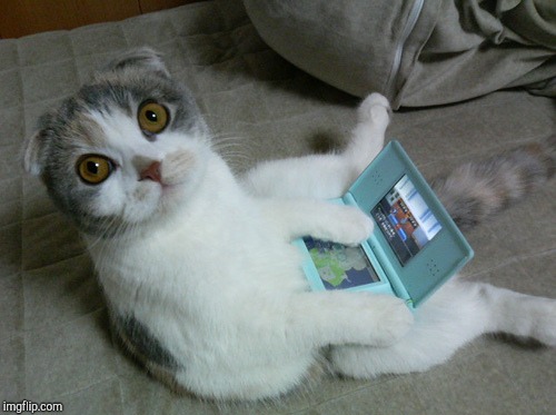 image tagged in ds cat | made w/ Imgflip meme maker