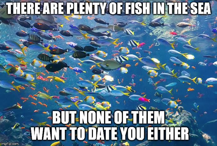 Jumping back into the dating pool isn't going as well as I hoped  | THERE ARE PLENTY OF FISH IN THE SEA; BUT NONE OF THEM WANT TO DATE YOU EITHER | image tagged in fish in the sea,dating,demotivationals | made w/ Imgflip meme maker