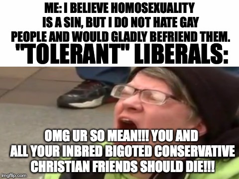 The "tolerant left" in a nutshell! | ME: I BELIEVE HOMOSEXUALITY IS A SIN, BUT I DO NOT HATE GAY PEOPLE AND WOULD GLADLY BEFRIEND THEM. "TOLERANT" LIBERALS:; OMG UR SO MEAN!!! YOU AND ALL YOUR INBRED BIGOTED CONSERVATIVE CHRISTIAN FRIENDS SHOULD DIE!!! | image tagged in memes,funny,politics,christian,conservative,liberals | made w/ Imgflip meme maker