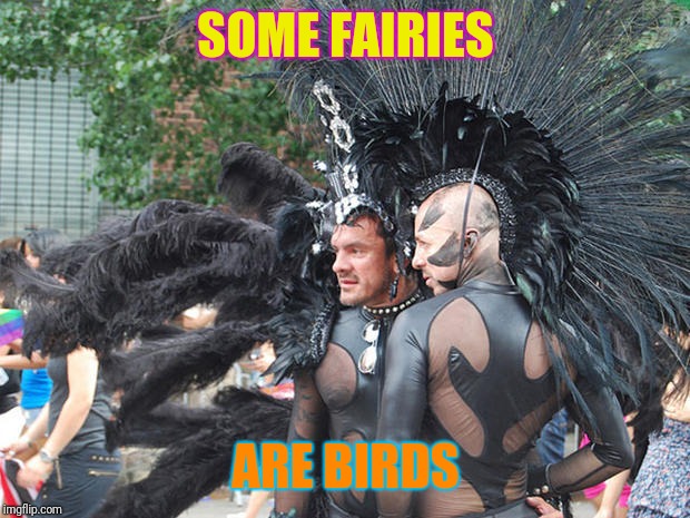 SOME FAIRIES ARE BIRDS | made w/ Imgflip meme maker