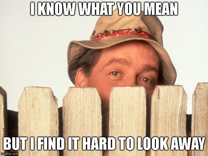 Wilson Home Improvement | I KNOW WHAT YOU MEAN BUT I FIND IT HARD TO LOOK AWAY | image tagged in wilson home improvement | made w/ Imgflip meme maker