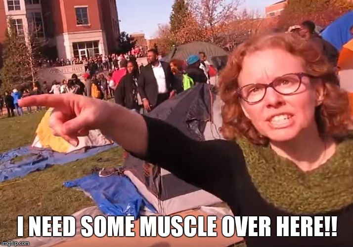 Melissa Click | I NEED SOME MUSCLE OVER HERE!! | image tagged in melissa click | made w/ Imgflip meme maker