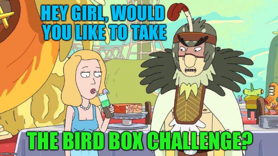 Bird Person- One for Bird Weekend. February 1-3, a moemeobro, Claybourne, and 1forpeace Event | HEY GIRL, WOULD YOU LIKE TO TAKE; THE BIRD BOX CHALLENGE? | image tagged in bird weekend,bird box,birdman,rick and morty | made w/ Imgflip meme maker