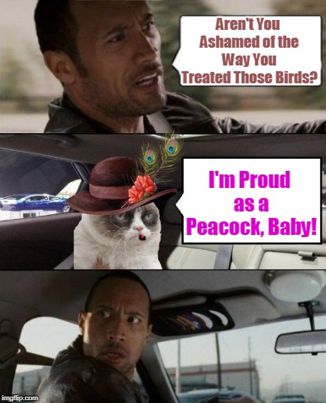 Aren't You Ashamed of the Way You Treated Those Birds? I'm Proud as a Peacock, Baby! | made w/ Imgflip meme maker