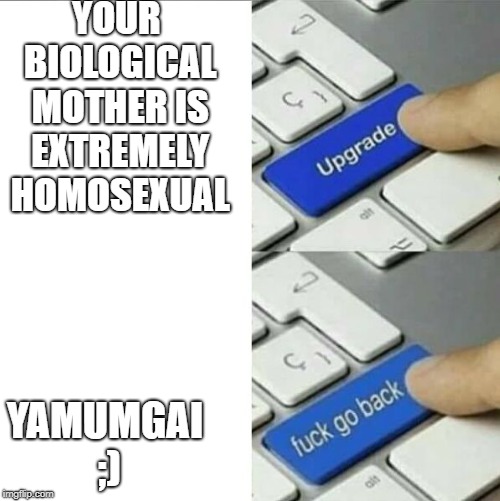 Upgrade go back | YOUR BIOLOGICAL MOTHER IS EXTREMELY HOMOSEXUAL; YAMUMGAI ;) | image tagged in upgrade go back | made w/ Imgflip meme maker