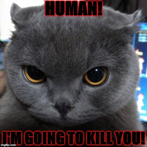 HUMAN! I'M GOING TO KILL YOU! | image tagged in i kill | made w/ Imgflip meme maker