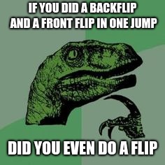 Time raptor  | IF YOU DID A BACKFLIP AND A FRONT FLIP IN ONE JUMP; DID YOU EVEN DO A FLIP | image tagged in time raptor | made w/ Imgflip meme maker