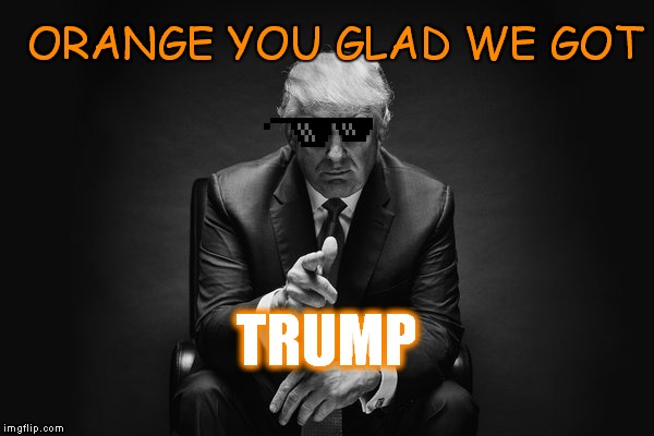 Donald Trump Thug Life | ORANGE YOU GLAD WE GOT; TRUMP | image tagged in donald trump thug life | made w/ Imgflip meme maker