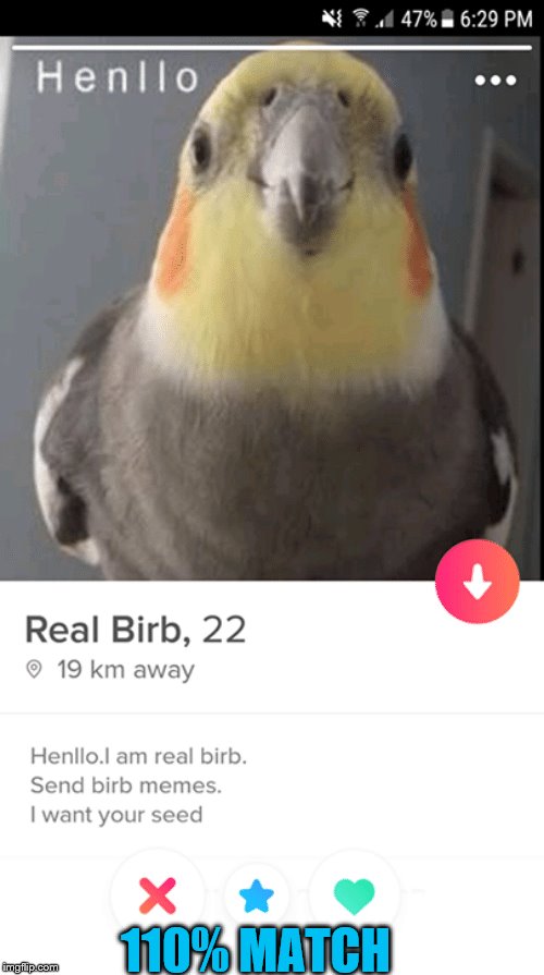 I've met my soulmate  Bird Weekend February 1-3, a moemeobro, Claybourne, and 1forpeace Event | 110% MATCH | image tagged in birds,bird,birb,birb weekend | made w/ Imgflip meme maker