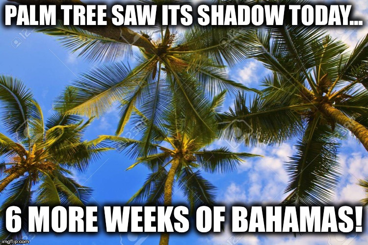 Bahamas  | image tagged in bahamas,spring | made w/ Imgflip meme maker