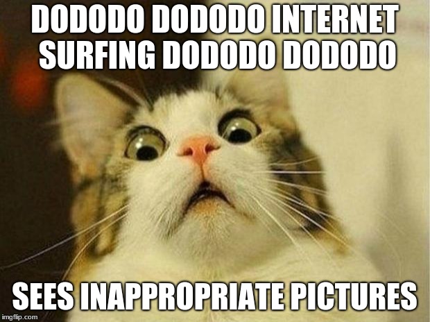 internet surfing: a sad but true story | DODODO DODODO INTERNET SURFING DODODO DODODO; SEES INAPPROPRIATE PICTURES | image tagged in memes,scared cat,internet | made w/ Imgflip meme maker