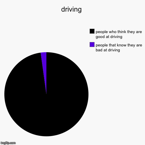 driving | people that know they are bad at driving, people who think they are good at driving | image tagged in funny,pie charts | made w/ Imgflip chart maker