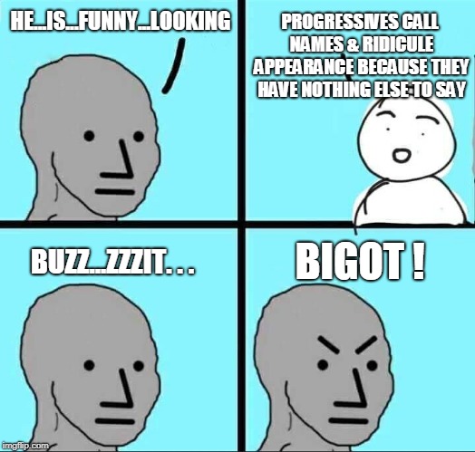 NPC Meme | HE...IS...FUNNY...LOOKING PROGRESSIVES CALL NAMES & RIDICULE APPEARANCE BECAUSE THEY HAVE NOTHING ELSE TO SAY BUZZ...ZZZIT. . . BIGOT ! | image tagged in npc meme | made w/ Imgflip meme maker