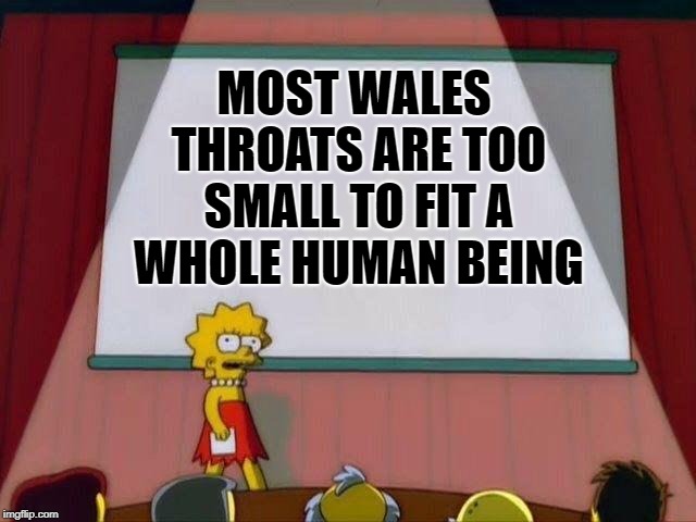 Jonah And The Wale's Anatomy | MOST WALES THROATS ARE TOO SMALL TO FIT A WHOLE HUMAN BEING | image tagged in lisa simpson presentation,atheism | made w/ Imgflip meme maker