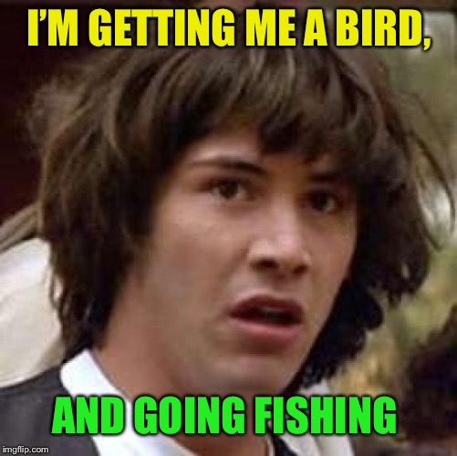 Conspiracy Keanu Meme | I’M GETTING ME A BIRD, AND GOING FISHING | image tagged in memes,conspiracy keanu | made w/ Imgflip meme maker