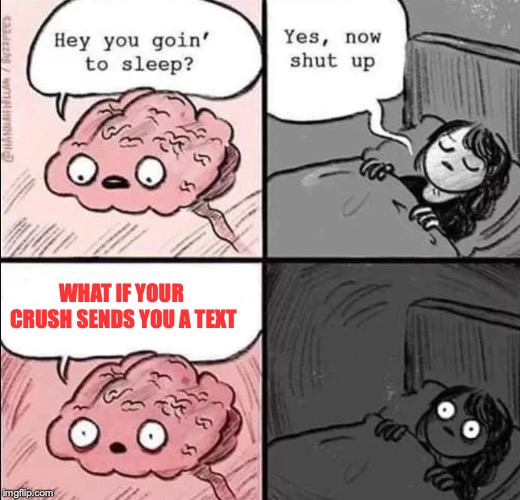 waking up brain | WHAT IF YOUR CRUSH SENDS YOU A TEXT | image tagged in waking up brain | made w/ Imgflip meme maker