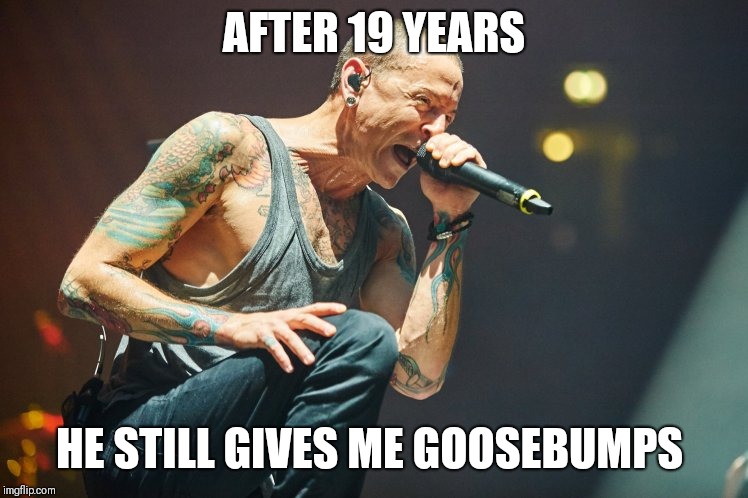 Chester Bennington | AFTER 19 YEARS; HE STILL GIVES ME GOOSEBUMPS | image tagged in chester bennington | made w/ Imgflip meme maker