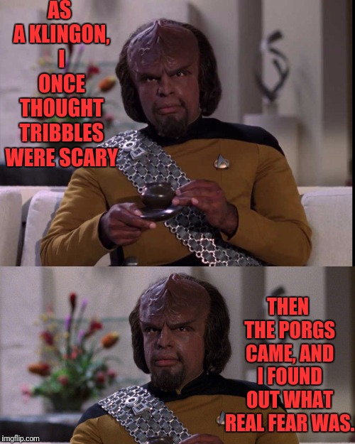 A Talk With Worf | AS A KLINGON, I ONCE THOUGHT TRIBBLES WERE SCARY; THEN THE PORGS CAME, AND I FOUND OUT WHAT REAL FEAR WAS. | image tagged in lieutenant worf,worf,star trek the next generation,star trek tng,star wars | made w/ Imgflip meme maker