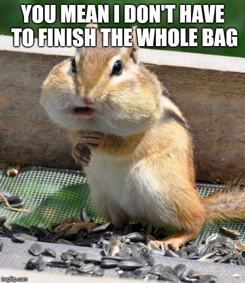 chipmunk | YOU MEAN I DON'T HAVE TO FINISH THE WHOLE BAG | image tagged in chipmunk | made w/ Imgflip meme maker