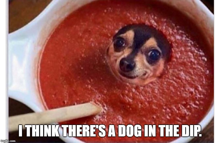 Sauce dog | I THINK THERE'S A DOG IN THE DIP. | image tagged in sauce dog | made w/ Imgflip meme maker