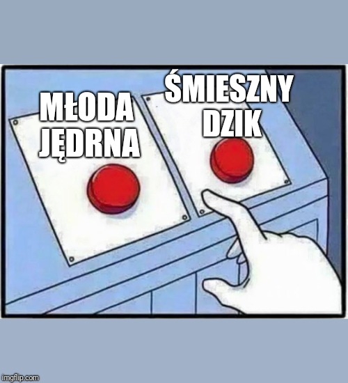 Hard Choice to make | ŚMIESZNY DZIK; MŁODA JĘDRNA | image tagged in hard choice to make | made w/ Imgflip meme maker