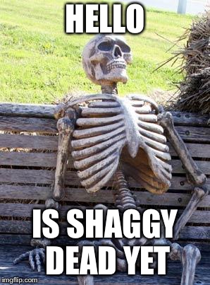 Waiting Skeleton Meme | HELLO IS SHAGGY DEAD YET | image tagged in memes,waiting skeleton | made w/ Imgflip meme maker