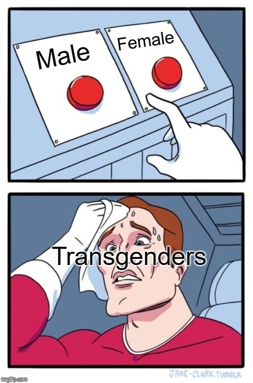 Two Buttons Meme | Female; Male; Transgenders | image tagged in memes,two buttons | made w/ Imgflip meme maker