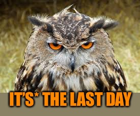 IT’S* THE LAST DAY | made w/ Imgflip meme maker