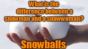 Deference's | What is the difference between a snowman and a snowwoman? Snowballs | image tagged in funny | made w/ Imgflip meme maker