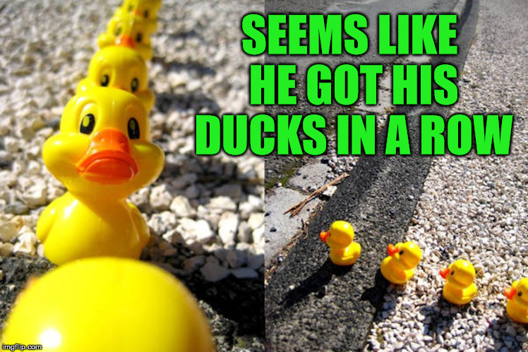 Bird Weekend February 1-3, a moemeobro, Claybourne, and 1forpeace Event | SEEMS LIKE HE GOT HIS DUCKS IN A ROW | image tagged in bird weekend,birds,ducks,meme,funny,sayings | made w/ Imgflip meme maker