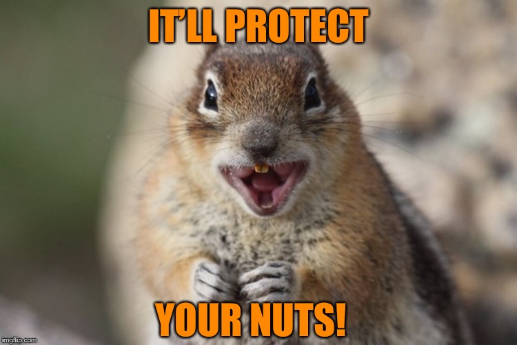 IT’LL PROTECT YOUR NUTS! | made w/ Imgflip meme maker