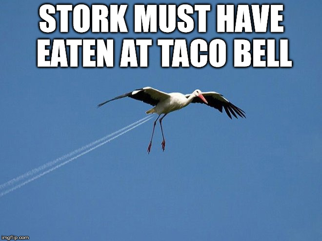 Bird Weekend February 1-3, a moemeobro, Claybourne, and 1forpeace Event | STORK MUST HAVE EATEN AT TACO BELL | image tagged in bird weekend,birds,taco bell,funny,meme,jet fuel | made w/ Imgflip meme maker