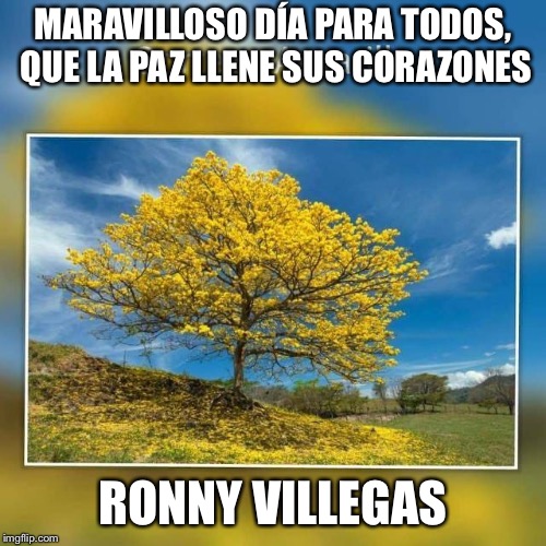 MARAVILLOSO DÍA PARA TODOS, QUE LA PAZ LLENE SUS CORAZONES; RONNY VILLEGAS | image tagged in fun | made w/ Imgflip meme maker