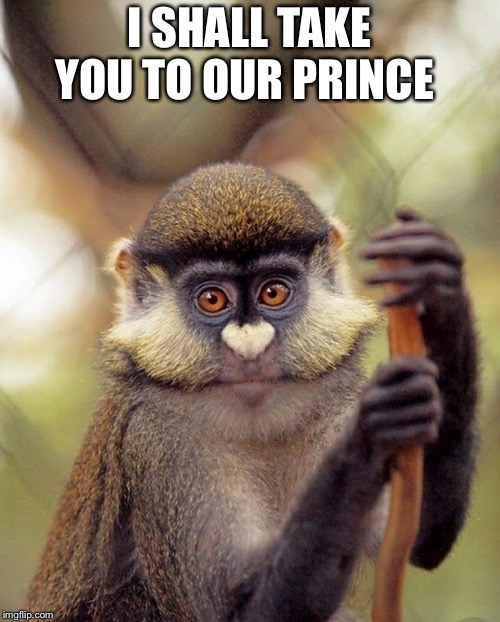 I SHALL TAKE YOU TO OUR PRINCE | made w/ Imgflip meme maker