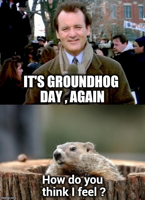 The same day , over and over , I want a summer Sunday | IT'S GROUNDHOG DAY , AGAIN; How do you think I feel ? | image tagged in groundhog,bill murray groundhog day,say what again,february,cold weather | made w/ Imgflip meme maker