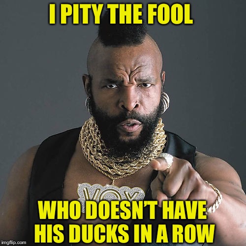 Mr T Pity The Fool Meme | I PITY THE FOOL WHO DOESN’T HAVE HIS DUCKS IN A ROW | image tagged in memes,mr t pity the fool | made w/ Imgflip meme maker