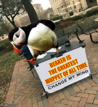 BEAKER IS THE GREATEST MUPPET OF ALL TIME | image tagged in bird weekend,memes,funny,unpopular opinion puffin,change my mind | made w/ Imgflip meme maker