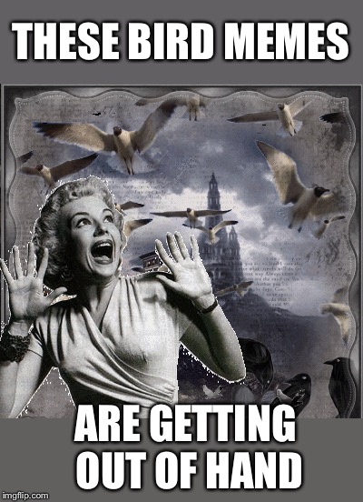 A bird meme in the hand is worth two on the back pages.- Bird Weekend February 1-3, a moemeobro, Claybourne, and 1forpeace Event | THESE BIRD MEMES; ARE GETTING OUT OF HAND | image tagged in bird weekend,alfred hitchcock,the birds,memes,funny | made w/ Imgflip meme maker