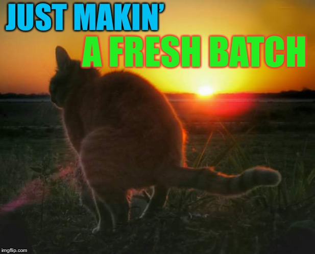 cat pooping and sunset | JUST MAKIN’ A FRESH BATCH | image tagged in cat pooping and sunset | made w/ Imgflip meme maker