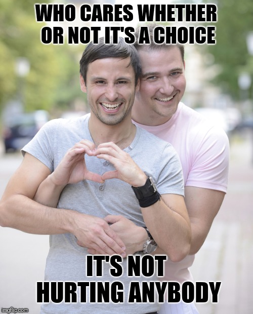 gay couple | WHO CARES WHETHER OR NOT IT'S A CHOICE; IT'S NOT HURTING ANYBODY | image tagged in gay couple | made w/ Imgflip meme maker