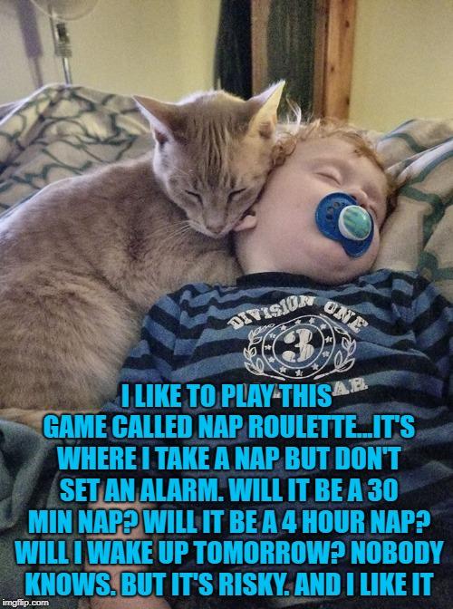  I LIKE TO PLAY THIS GAME CALLED NAP ROULETTE...IT'S WHERE I TAKE A NAP BUT DON'T SET AN ALARM. WILL IT BE A 30 MIN NAP? WILL IT BE A 4 HOUR NAP? WILL I WAKE UP TOMORROW? NOBODY KNOWS. BUT IT'S RISKY. AND I LIKE IT | image tagged in naps,sleeping,funny,memes,funny memes,cats | made w/ Imgflip meme maker