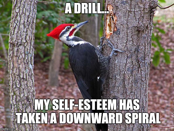 A DRILL... MY SELF-ESTEEM HAS TAKEN A DOWNWARD SPIRAL | made w/ Imgflip meme maker