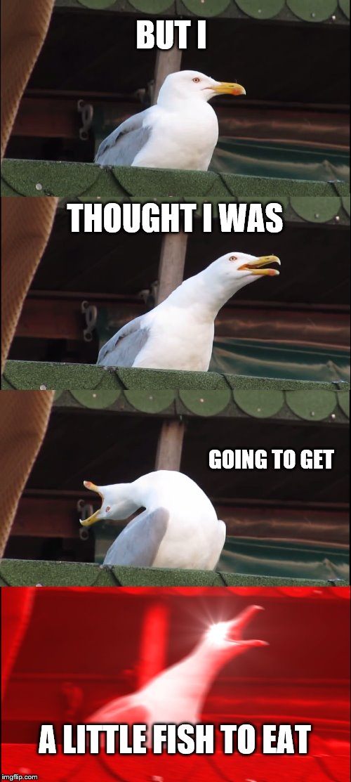 Inhaling Seagull Meme | BUT I THOUGHT I WAS GOING TO GET A LITTLE FISH TO EAT | image tagged in memes,inhaling seagull | made w/ Imgflip meme maker