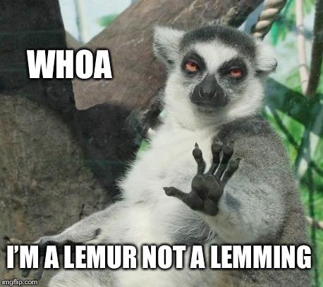 Stoner Lemur Meme | WHOA I’M A LEMUR NOT A LEMMING | image tagged in memes,stoner lemur | made w/ Imgflip meme maker