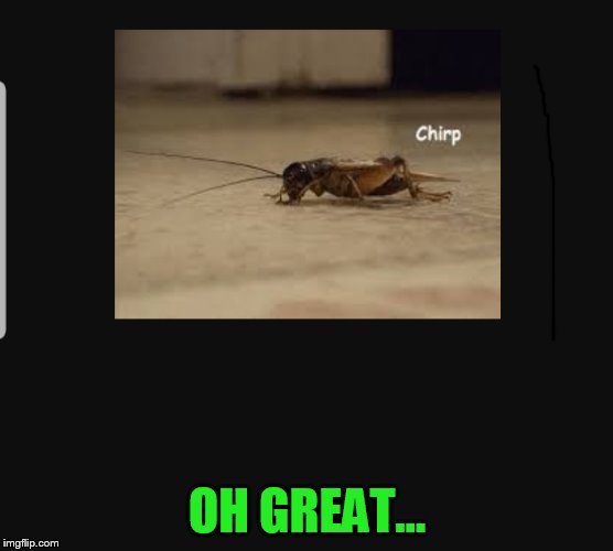 Cricket chirp | OH GREAT... | image tagged in cricket chirp | made w/ Imgflip meme maker