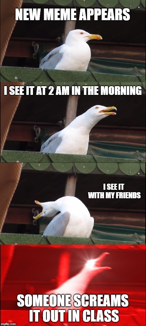 Inhaling Seagull | NEW MEME APPEARS; I SEE IT AT 2 AM IN THE MORNING; I SEE IT WITH MY FRIENDS; SOMEONE SCREAMS IT OUT IN CLASS | image tagged in memes,inhaling seagull | made w/ Imgflip meme maker