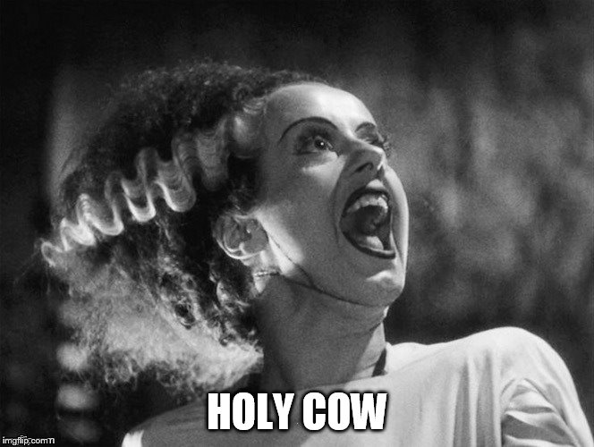 HOLY COW | made w/ Imgflip meme maker