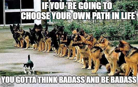 Bad ass cat | IF YOU 'RE GOING TO CHOOSE YOUR OWN PATH IN LIFE; YOU GOTTA THINK BADASS AND BE BADASS | image tagged in bad ass cat | made w/ Imgflip meme maker