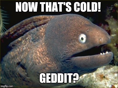 Bad Joke Eel Meme | NOW THAT'S COLD! GEDDIT? | image tagged in memes,bad joke eel | made w/ Imgflip meme maker