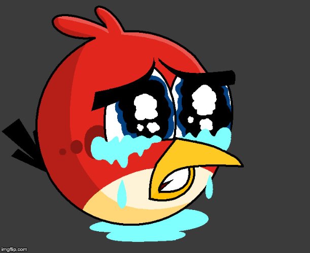 Sad birds | image tagged in sad birds | made w/ Imgflip meme maker